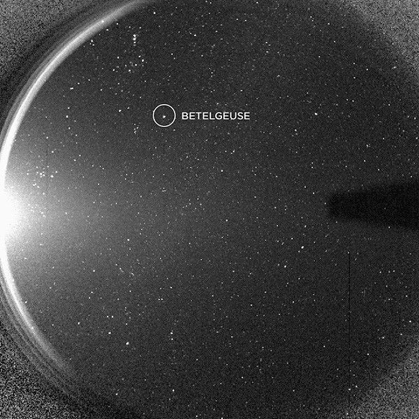 Betelgeuse Inside the Life of a Massive Red Supergiant 1