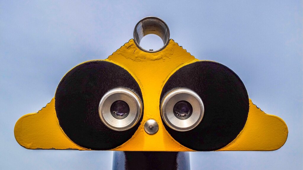 binoculars for beginners