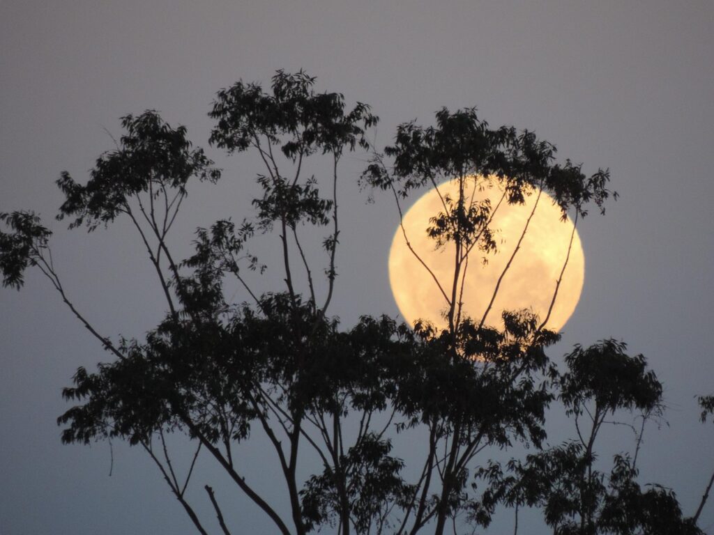 Discover what supermoons are, how they form, and why they appear larger and brighter than typical full moons 