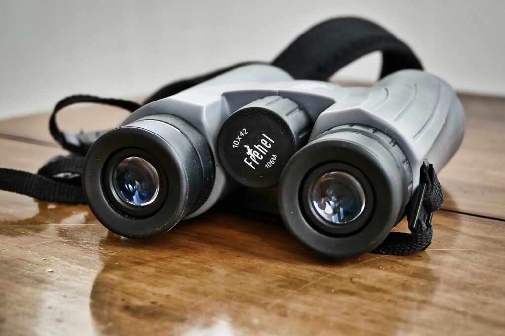 Eyepieces and optics 