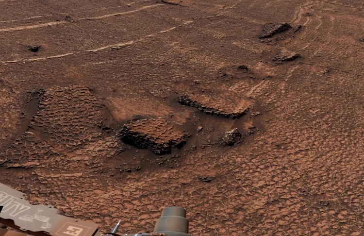 Curiosity Rover Discovers a Remarkable Sea of Polygons on Mars